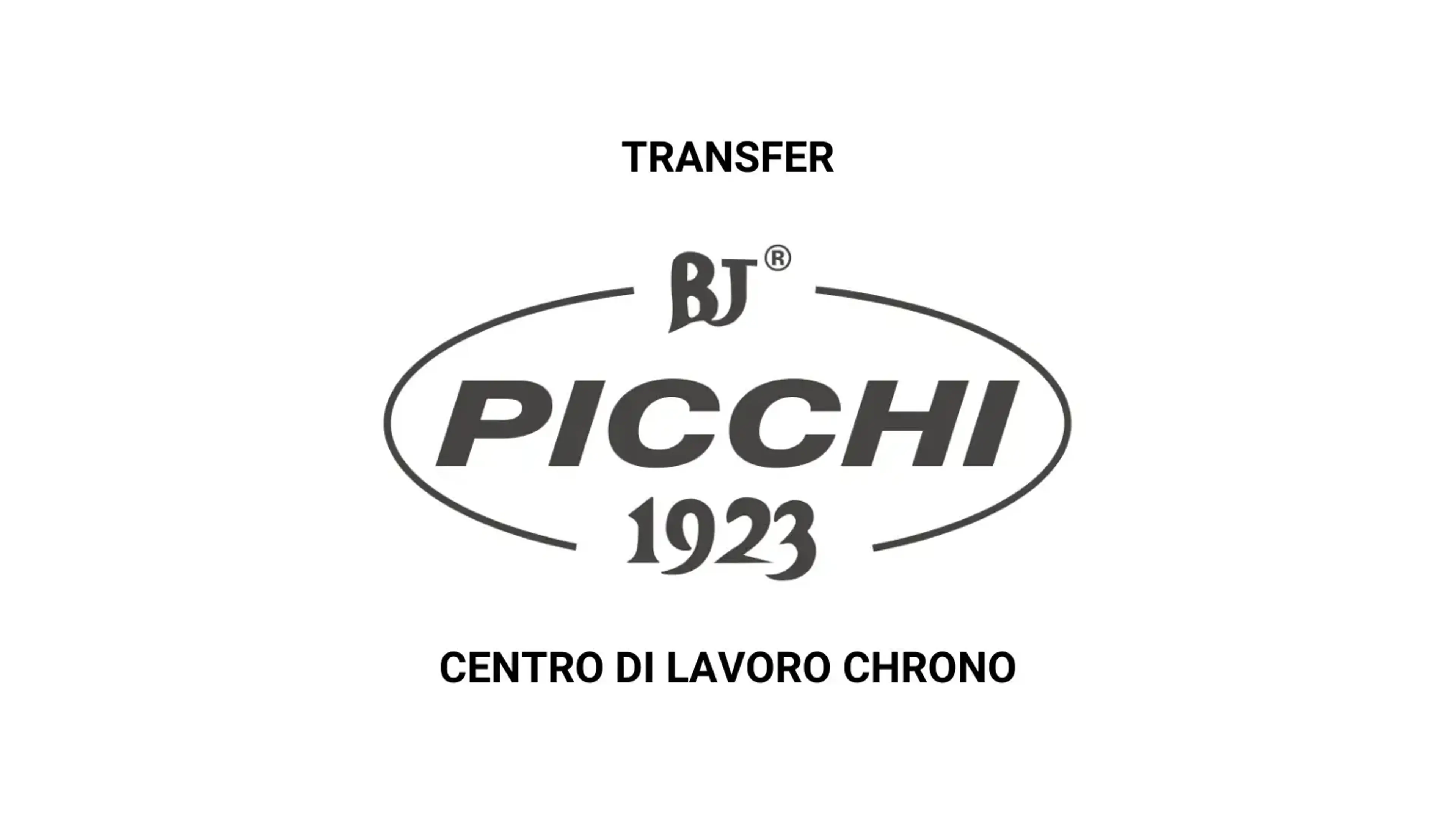 picchi-transfer-logo